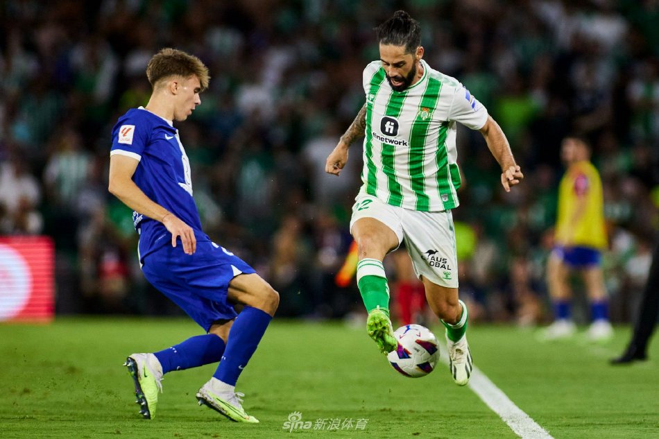 的想象与期 的想象与期